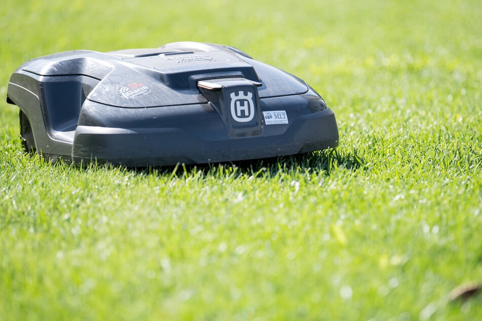 Mähroboter können für nachtaktive Gartentiere schnell zur Gefahr werden.