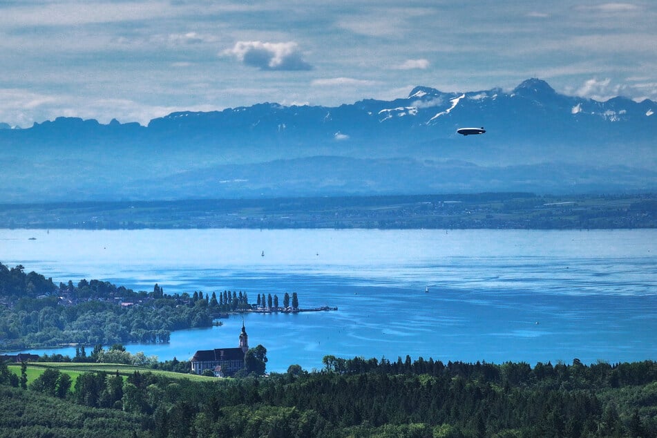 Die Vogelgrippe ist am Bodensee angekommen. Eine sterbende Möwe wurde nun positiv getestet. (Archivbild)