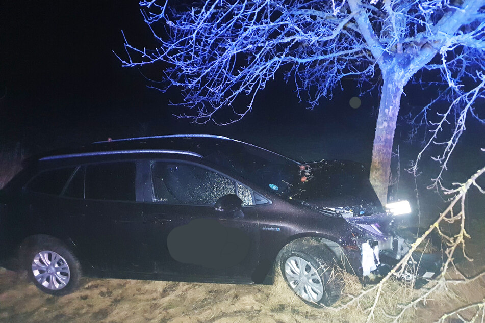 Junger Autofahrer kracht betrunken gegen Baum und haut danach einfach ab