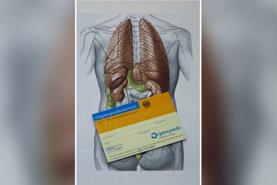 Wer nach dem Tod seine Organe spenden möchte, sollte so einen Organspendeausweis ausfüllen und stets bei sich tragen.