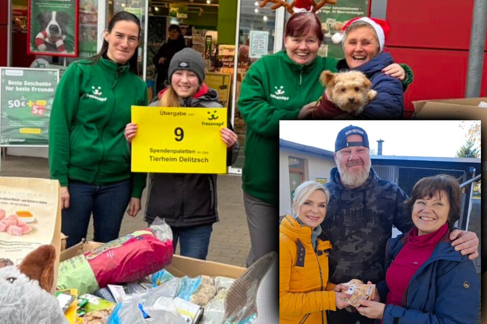 Weihnachts-Wunder für sächsisches Tierheim: "Überwältigt von der Menge"