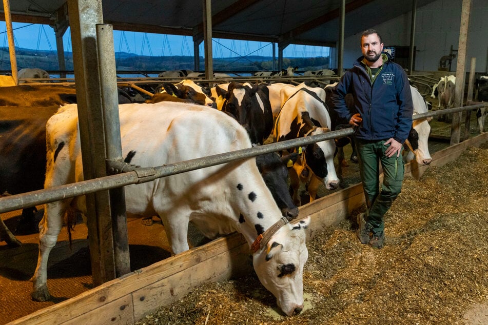 Bernhard leitet in Freital den letzten Bauernhof mit Milchkühen in siebter Generation.