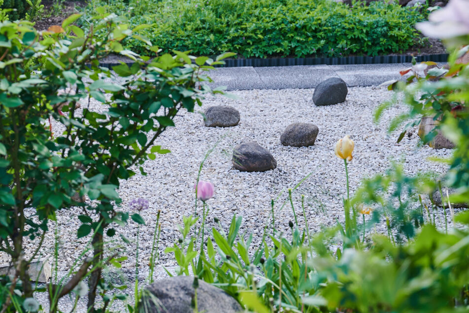 Sind alle Schottergärten, die vor dem Verbot angelegt wurden, illegal? (Symbolbild)