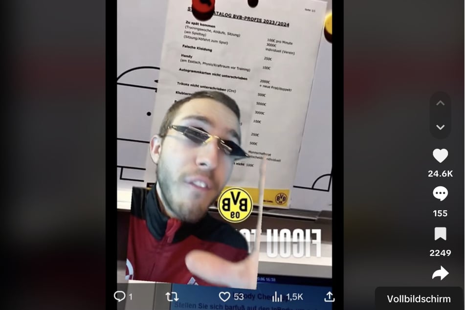 Einem TikTok-User wurde der Strafenkatalog des BVB zugespielt.