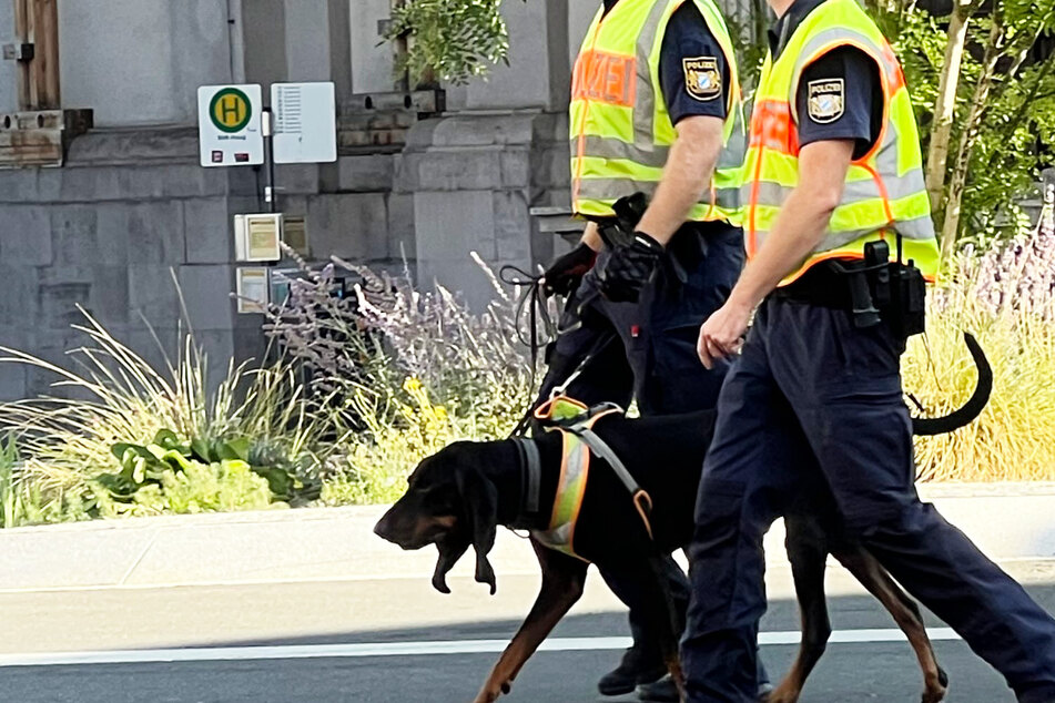 Polizisten mit einem Spürhund am Tatort: In der Innenstadt von Würzburg kam es am frühen Sonntagmorgen vor einer Diskothek zu einer tödlichen Bluttat.