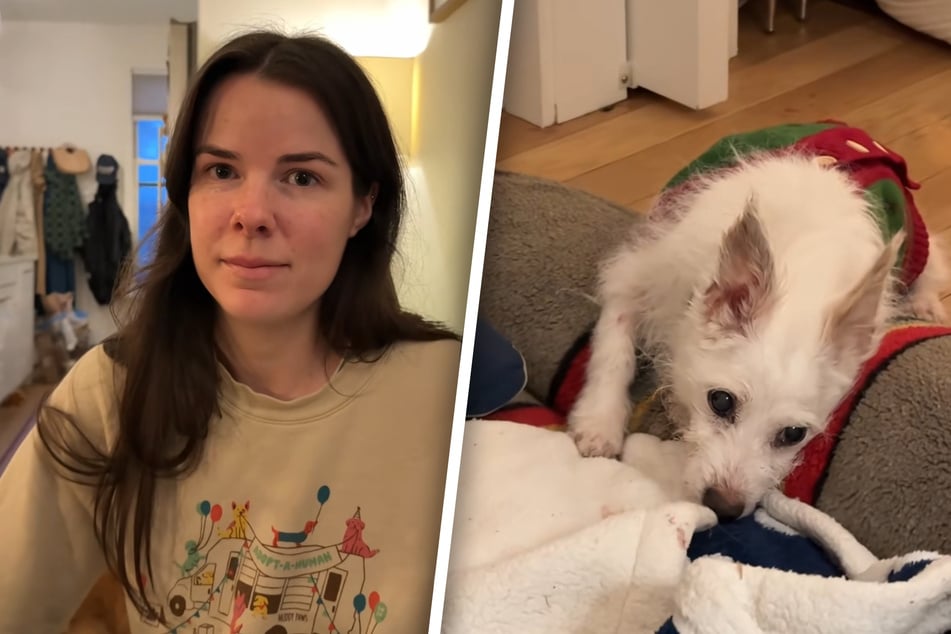 Nur eine Nacht als Familie: Frau adoptiert Hund kurz vor seinem Tod