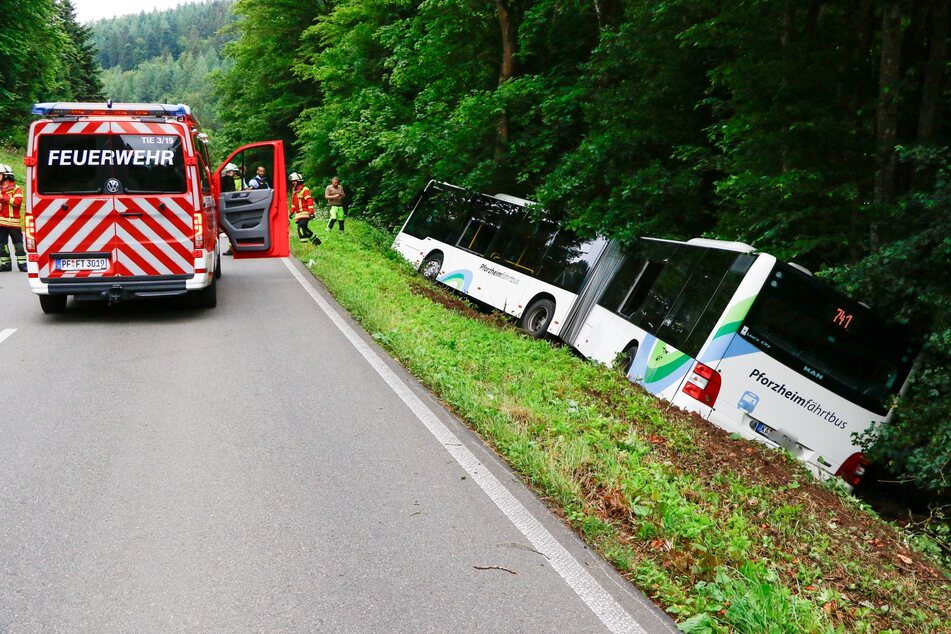 Ein Bus auf Abwegen: Die Insassen mussten sich zwischen Bäumen und Gebüsch ihren Weg ins Freie suchen.