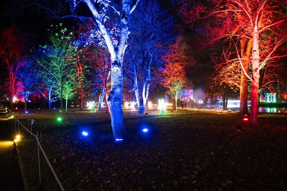 Auch die Bäume wurden in die Lichtinstallationen eingebunden.