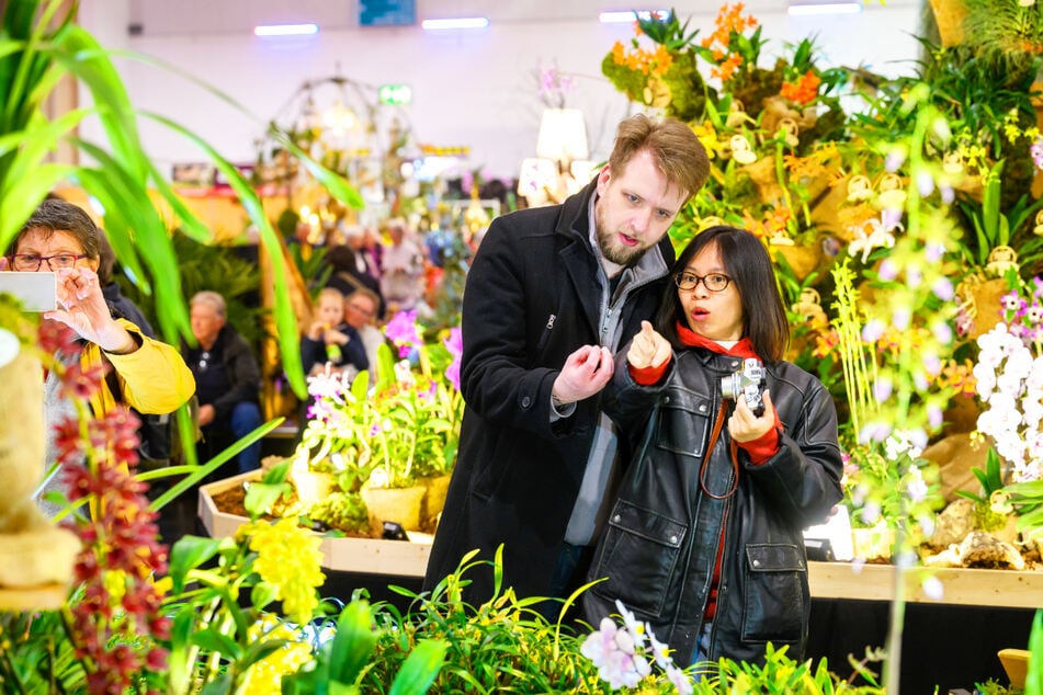 Darum kommen Besucher dieser Frühlingsmesse nicht aus dem Staunen heraus