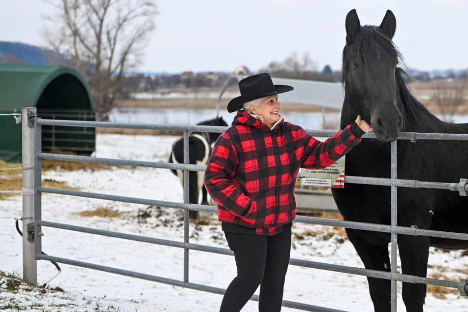 Verein mit Herz bewahrt Pferde vor dem Schlachter