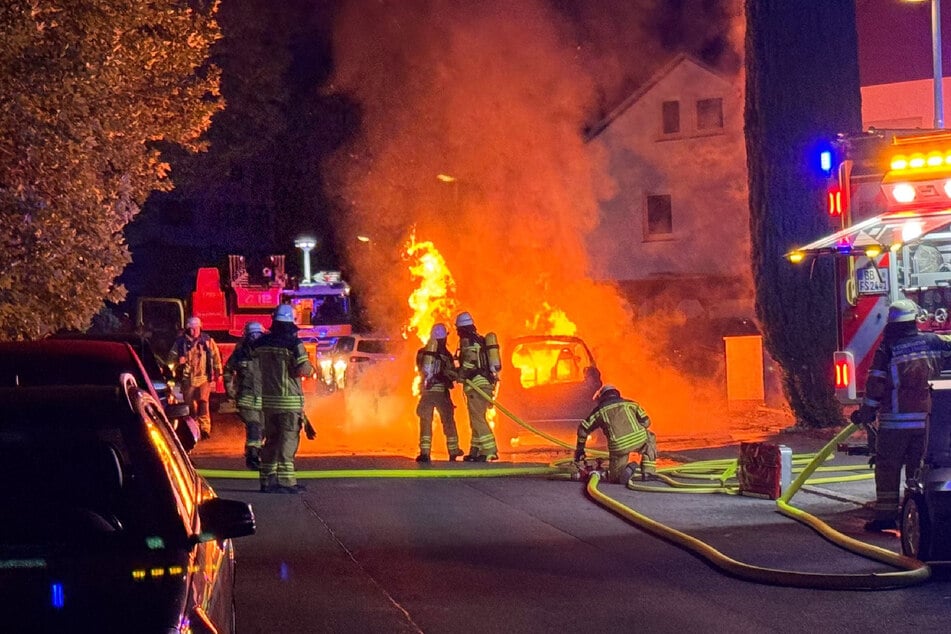 Auch ein Baum sowie zwei Autos standen in Flammen.