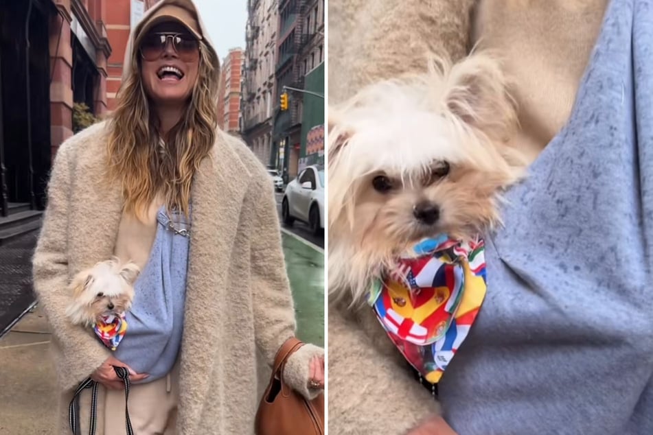 Spontaner Neuzugang! Heidi Klum (52) adoptierte zu Ostern den kleinen Fritz.