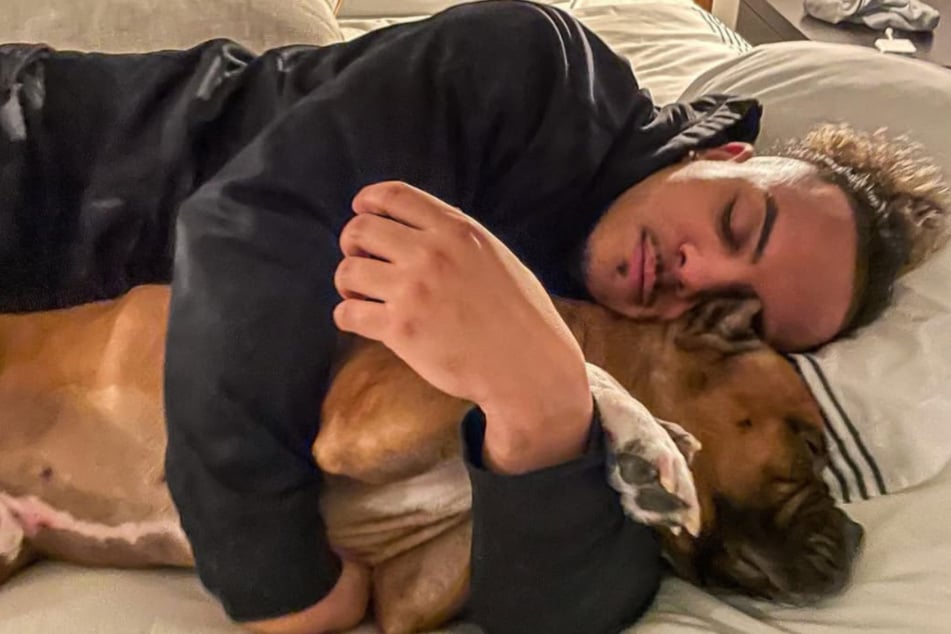 Auf den Social-Media-Kanälen des 34-Jährigen sind nach wie vor etliche Bilder vom inzwischen eingeschläferten Hund "Crixus" zu sehen.