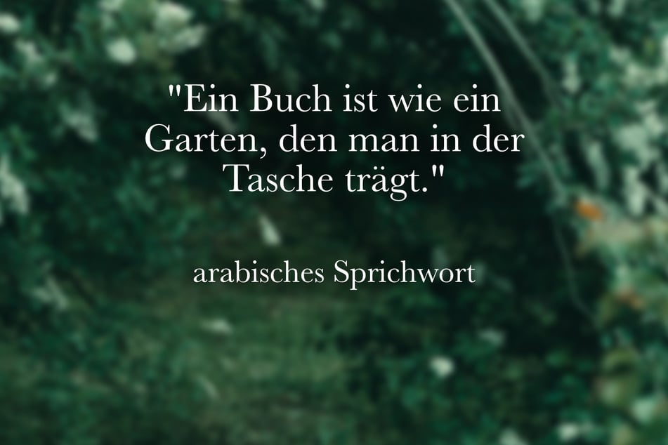 Zu echten Bücherwürmern passt dieses arabische Sprichwort.