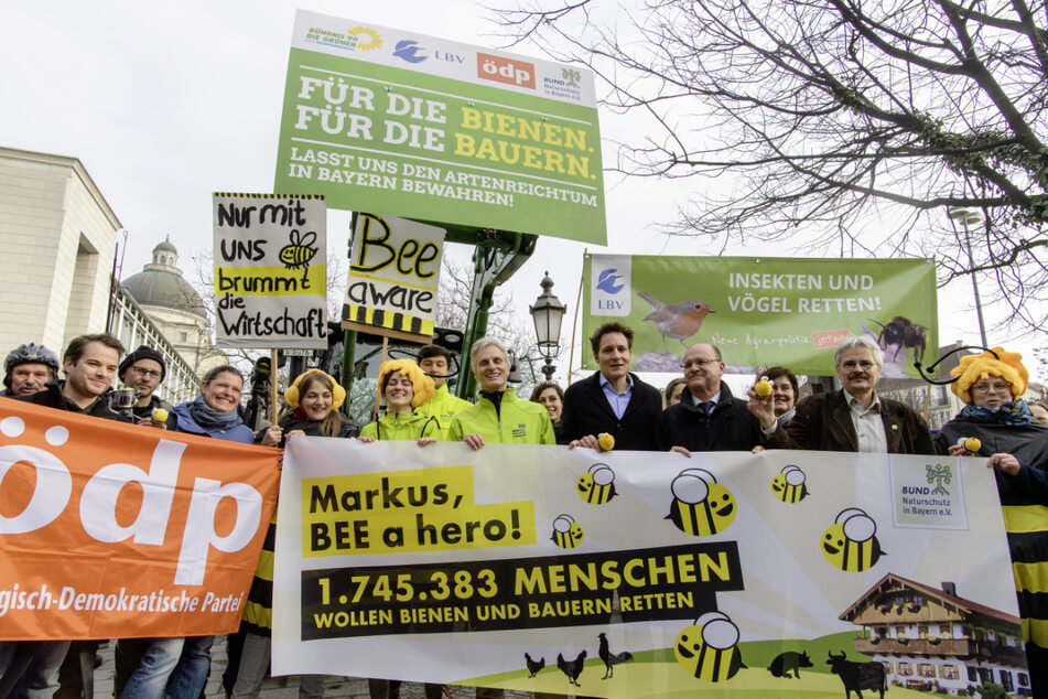 Das Volksbegehren "Rettet die Bienen" sammelte rund 1,75 Millionen Unterschriften. (Archiv)