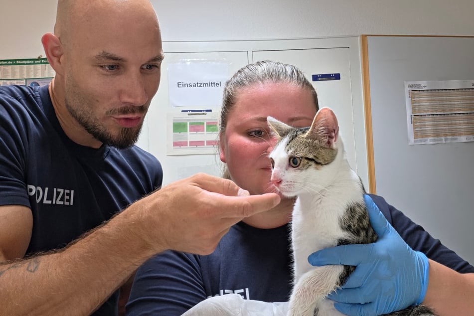 Die Bundespolizei kümmerte sich bis zur Abholung um die sanfte Katze.