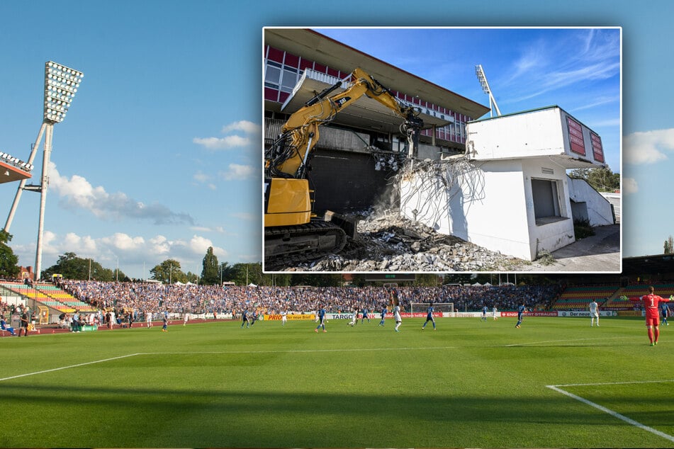 Berlin: Bagger sind schon da: Verhindern Vögel und Fledermäuse doch noch den Abriss des Jahn-Sportparks?