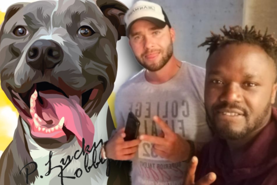 P. Lucky und Kobby. A (r) wollen mit ihrem "Dog Song" ein Zeichen für die Listenhunde setzten. (Bildmontage)