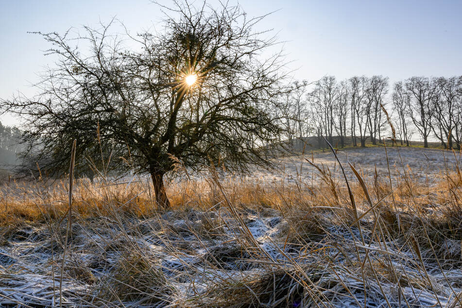In der Hauptstadtregion bleibt es frostig.