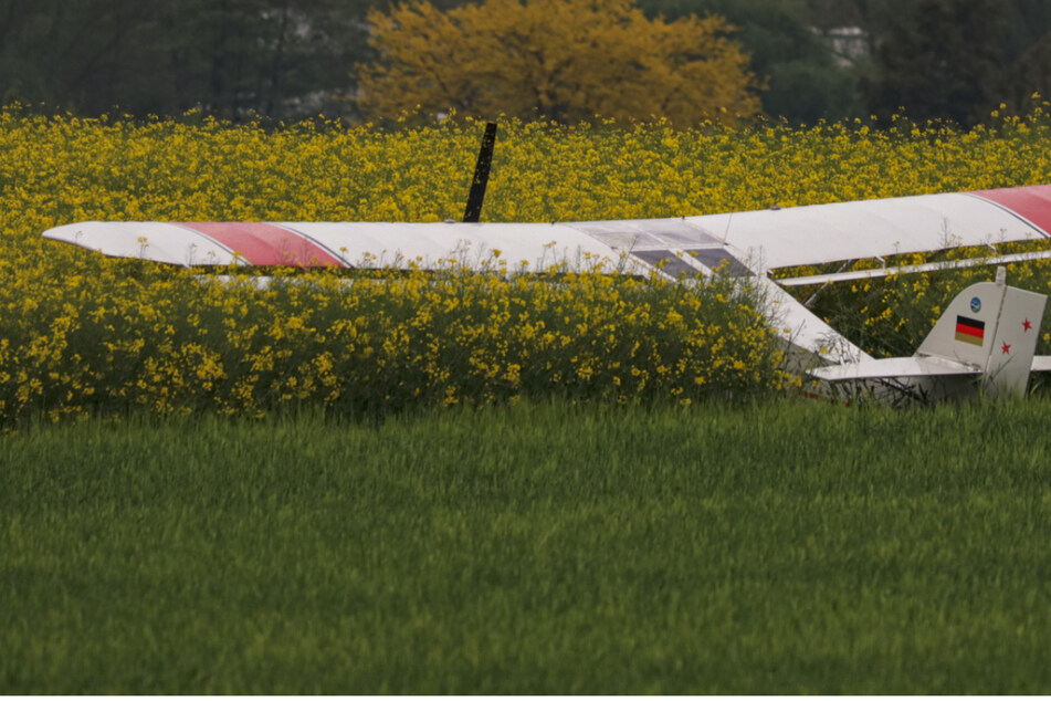 Flugzeug muss plötzlich notlanden und kracht dabei in Weizenfeld