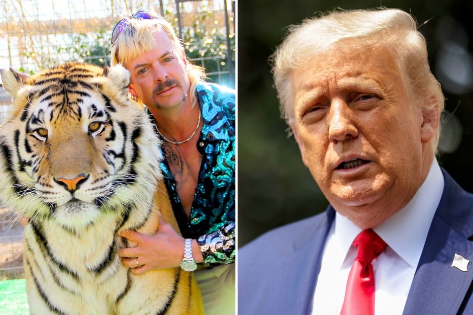 Netflix star Joe Exotic (l.) recently penned a letter to Donald Trump (r.) begging to be released from jail – and added to his presidential cabinet!