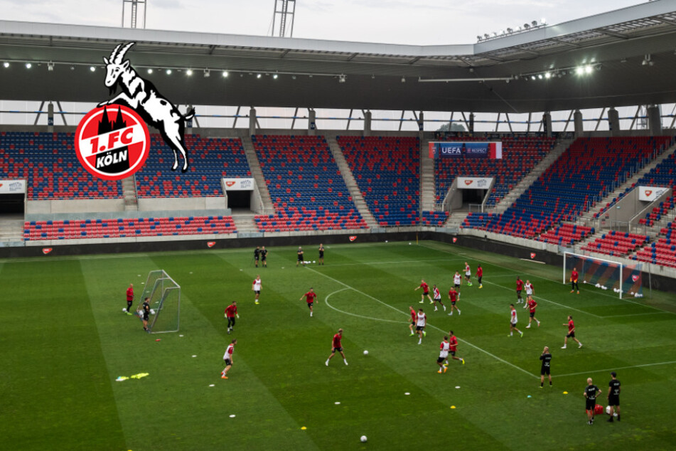 Conference-League-Playoffs: Was spricht für den 1. FC Köln, was dagegen?