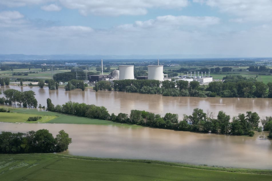 Auf einer Fläche neben dem Atomkraftwerk im südhessischen Biblis (Kreis Bergstraße) kam es aufgrund des Rheinhochwassers zu Überflutungen.