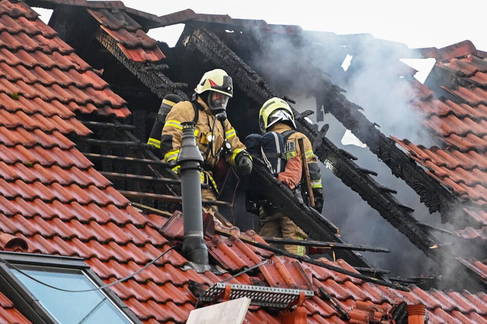 Katze setzt Wohnung in Brand: Hoher Schaden bei Feuer in Bautzen
