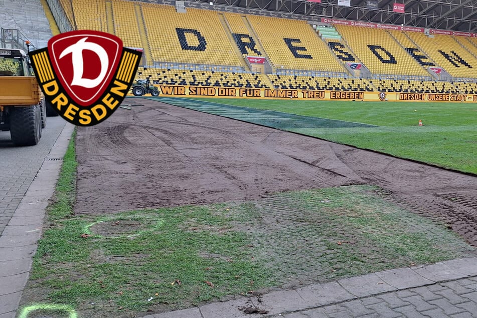 Dynamo-Dresden-Blog: SGD bekommt nach Monarchs-Meisterschaft neuen Rasen