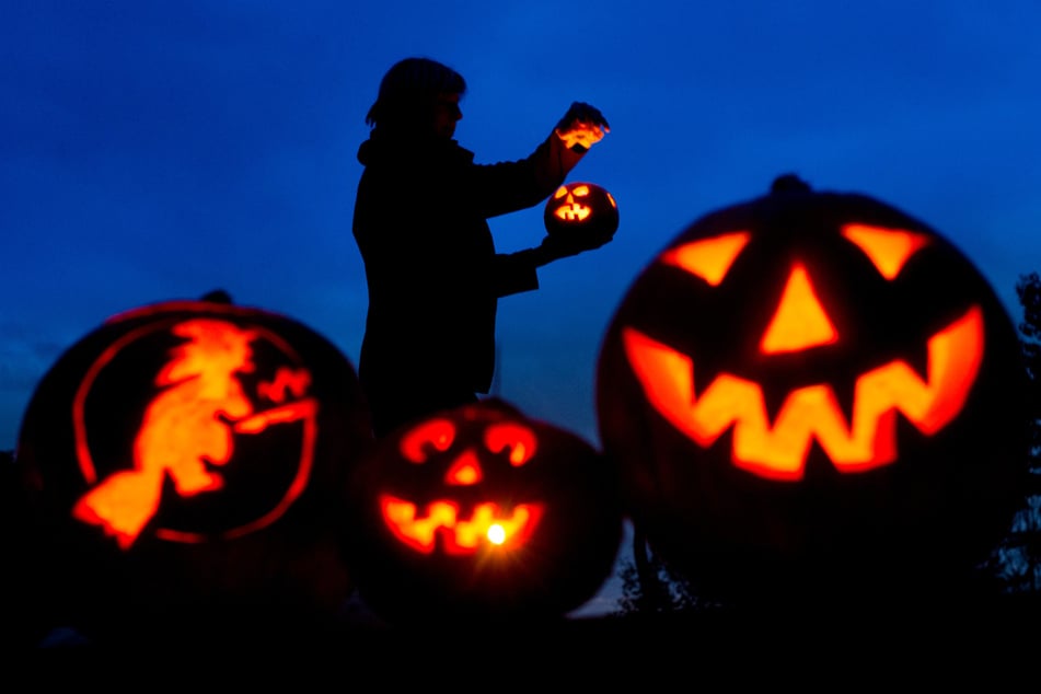Im Magdeburger Zoo warten Tiere und gruselige Überraschungen auf Euch. (Symbolfoto)