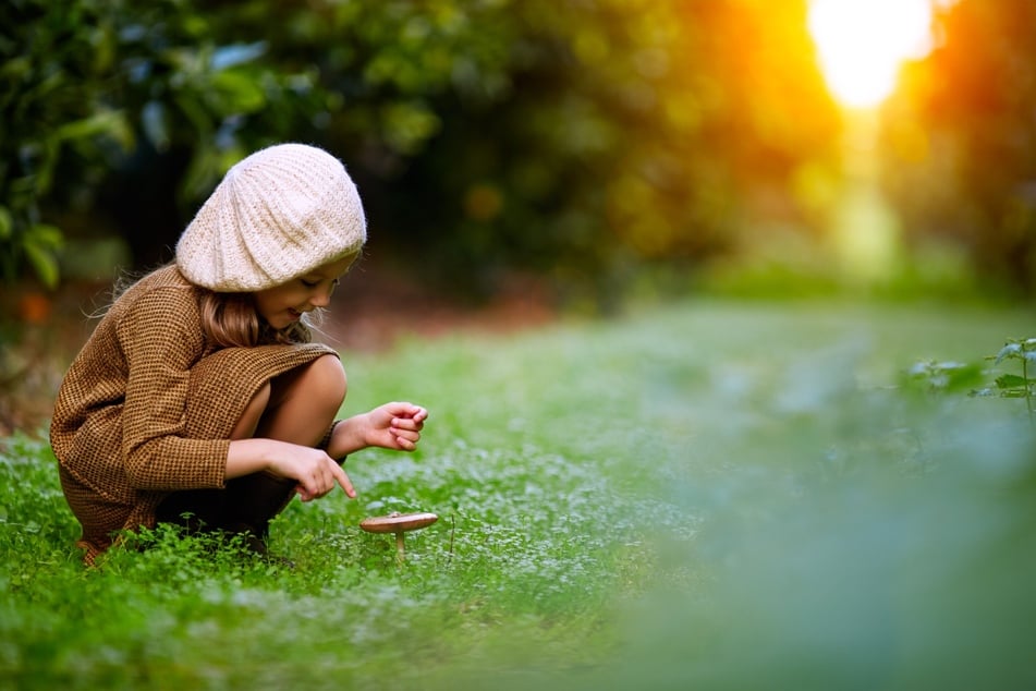 Auch wenn Pilze im Rasen oftmals keine lebensbedrohlichen Gifte enthalten, können die Folgen des Verzehrs für Kinder und Haustiere unangenehm sein und mit Magen-Darm-Beschwerden, Übelkeit und Erbrechen einhergehen.