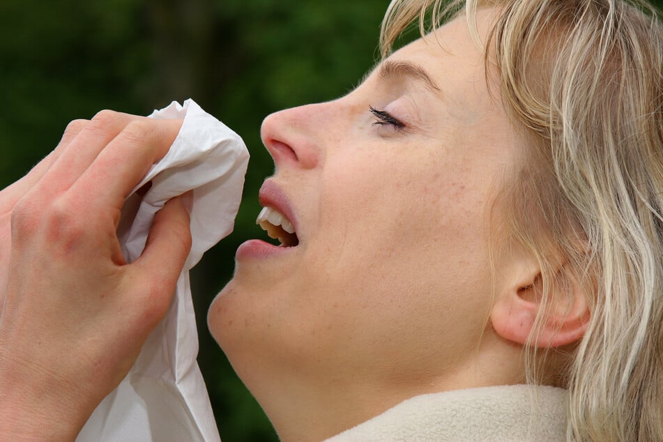 Allergiker kennen es, der Heuschnupfen macht vielen im Frühjahr zu schaffen.