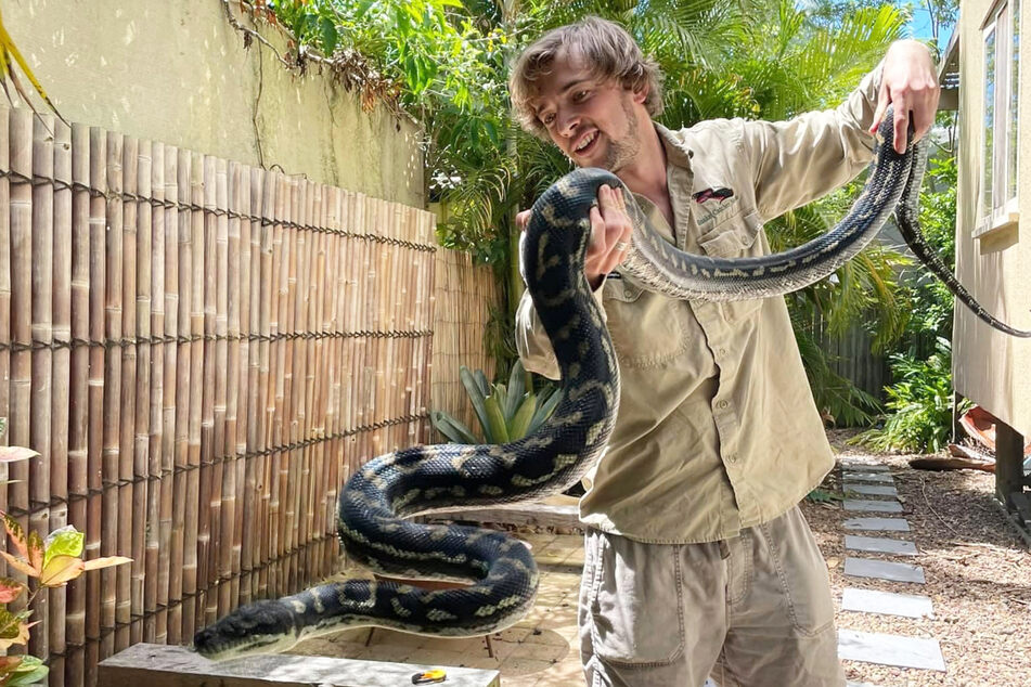 "Luke the Snake Catcher" befreit nicht nur kleinere Schlangen von Klorollen, er nimmt es auch mit richtig dicken Exemplaren auf.