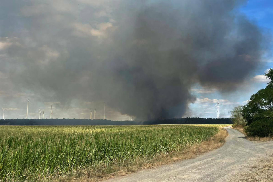 Waldbrand in Brandenburg: Feuerwehr braucht Verstärkung!