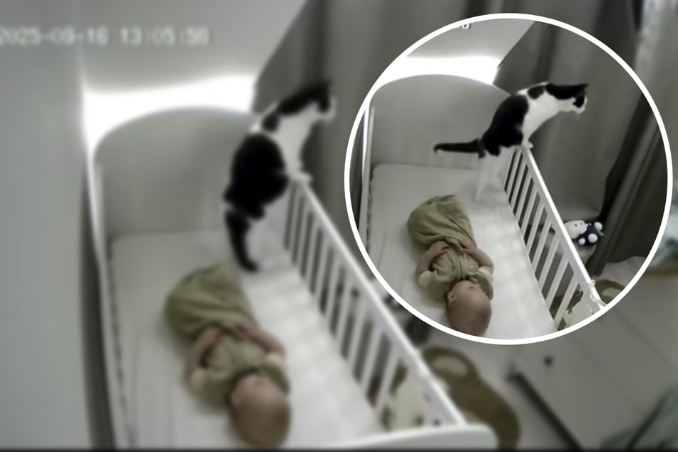 Frau traut ihren Augen nicht: Babyfon filmt den Absturz ihrer Katze
