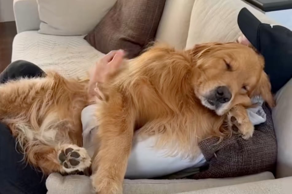 Tim tut, was er kann, um seinen Hund zu trösten.