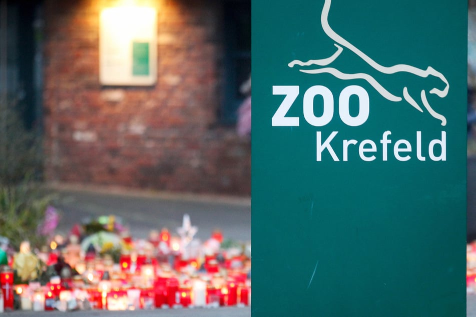 Feuer im Krefelder Zoo ausgebrochen! Alarm im Regenwaldhaus