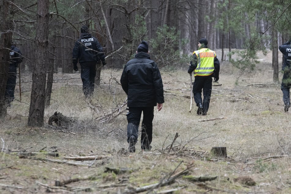 Der Wald bei Storkow, in dem Rebeccas Leiche vermutet wurde, bzw. wird.