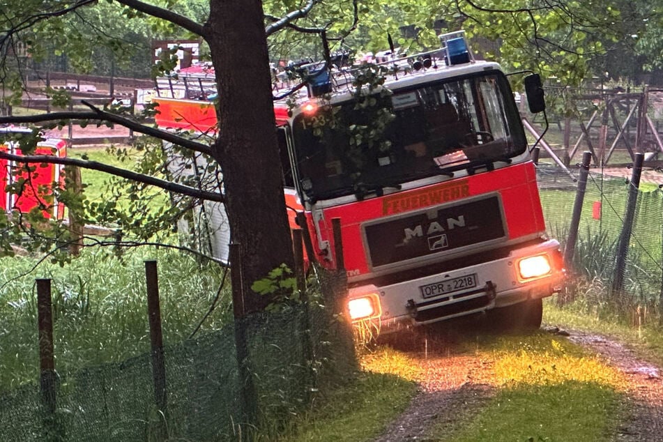 Gleich zwei Fahrzeuge blieben im Schlamm stecken.