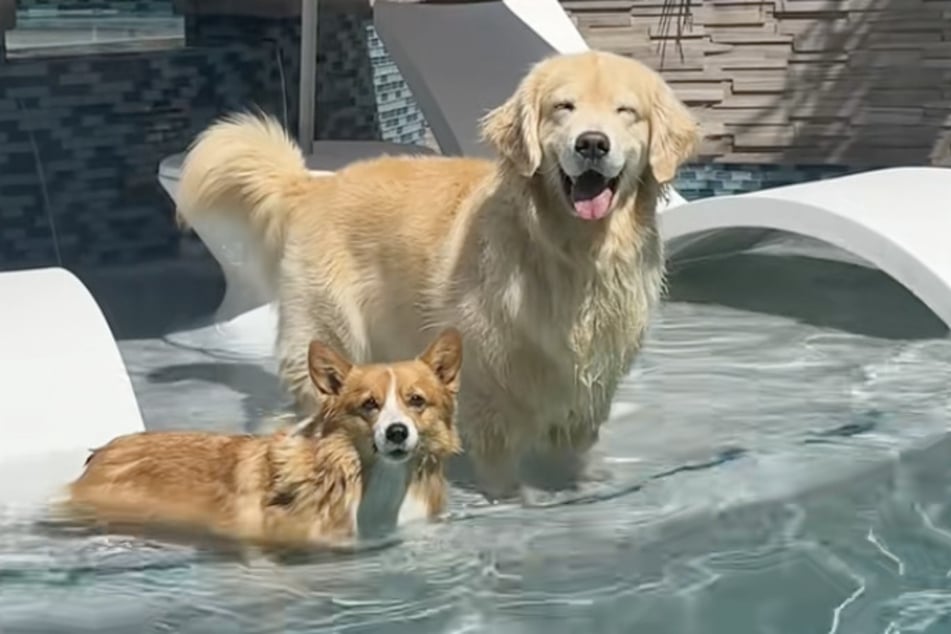 Všechno to začalo tak dobře …