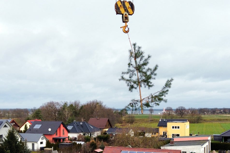 In 20 Metern Höhe leuchtet der Weihnachtsstern vom Geierswalder See.