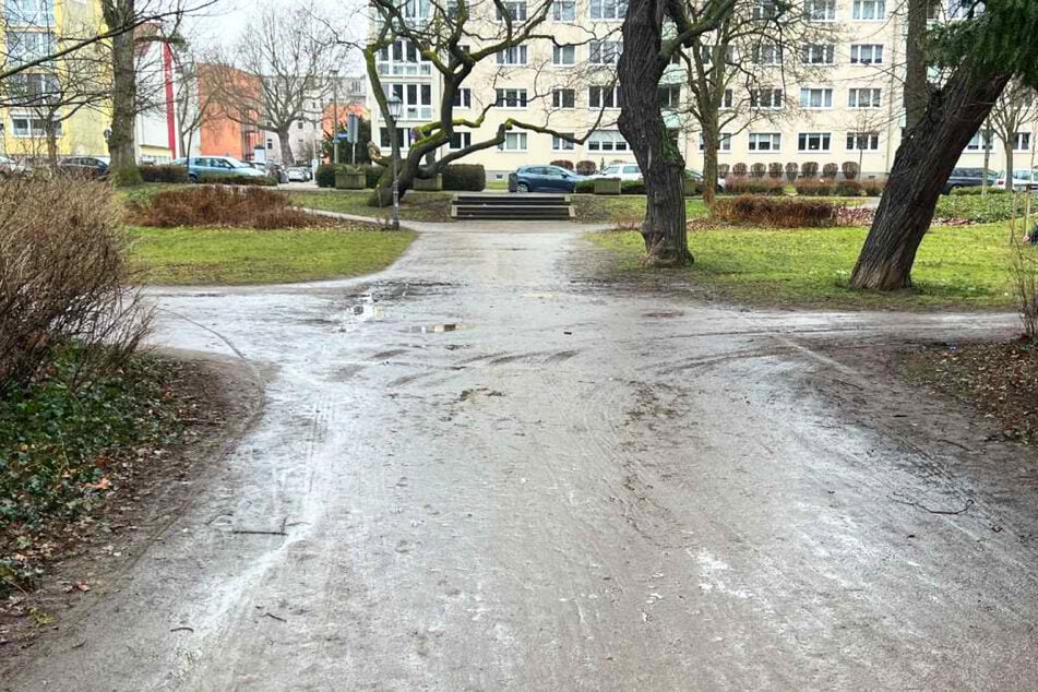In den kommenden Wochen werden die Gehwege des Nordparks erneuert.