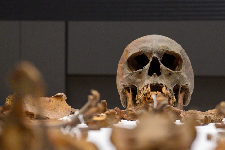 Forscher bestätigen: Gebeine in Ottos Grab gehören tatsächlich zum Herrscher