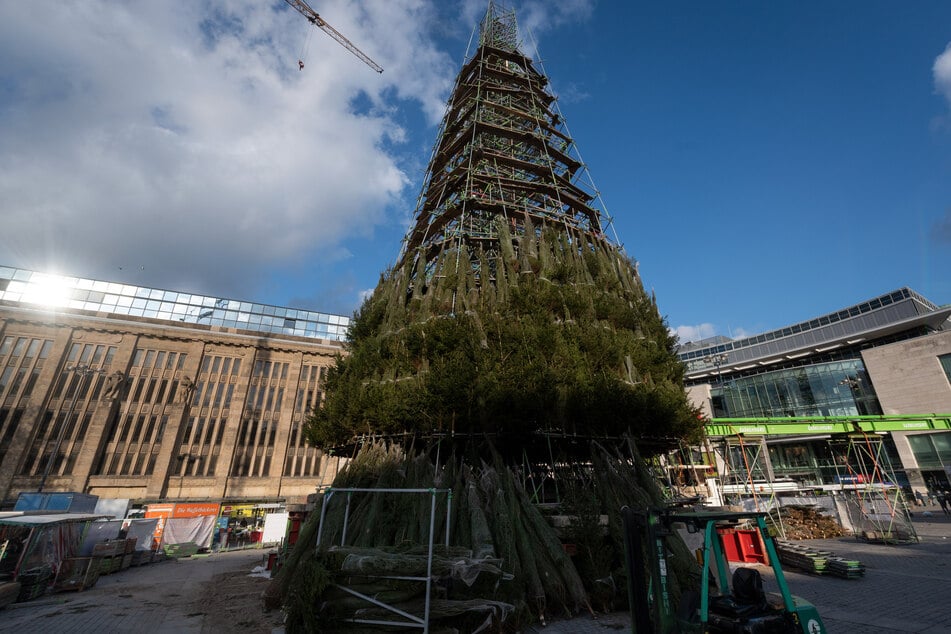 Der Dortmunder Weihnachtsbaum besteht aus 1700 Rotfichten.