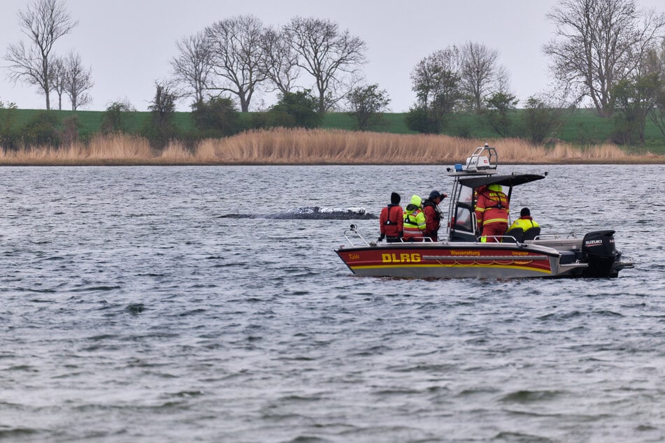 Die ersten Helfer sind auf dem Weg zu Timmy.