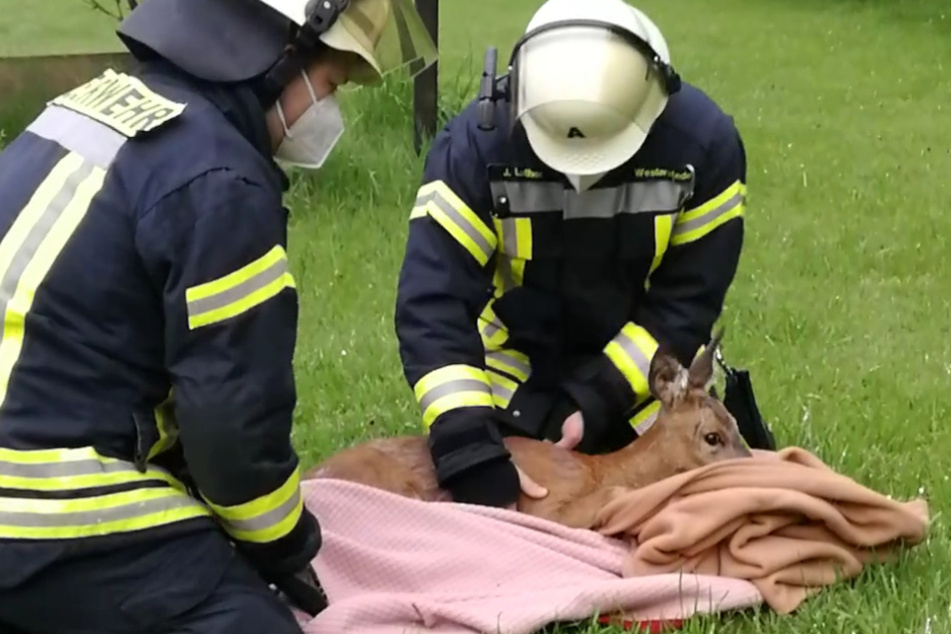 Einsatzkräfte der Feuerwehr wickeln das Reh in Decken.