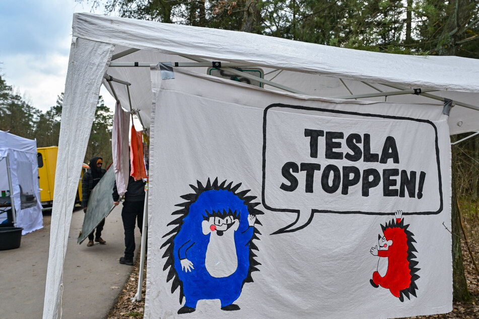 Umweltaktivisten protestieren seit vergangener Woche in einem Baumhaus-Camp in Grünheide gegen die geplante Erweiterung des Tesla-Geländes und die Abholzung von Wald.