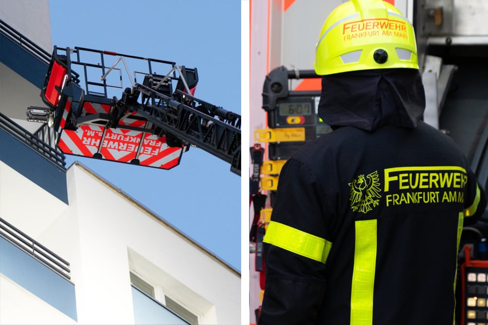 Frankfurt: Hochhaus-Brand in Frankfurt: Feuerwehr evakuiert 73 Bewohner