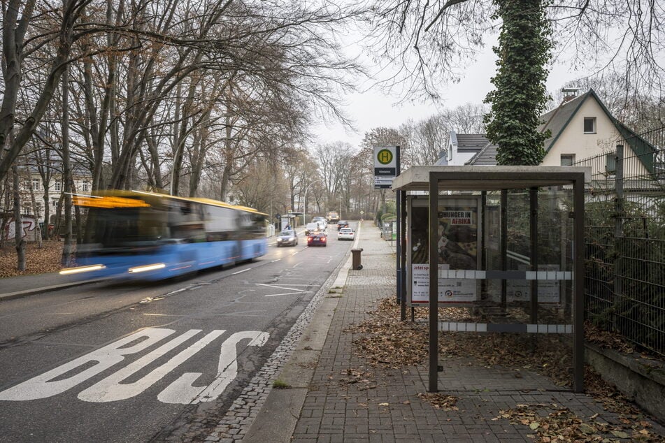 In der Händelstraße passierte das Unglück am Bus: Als zwei Frauen mit Kinderwagen einsteigen wollten, schlossen sich die Türen, klemmten das Trio ein.