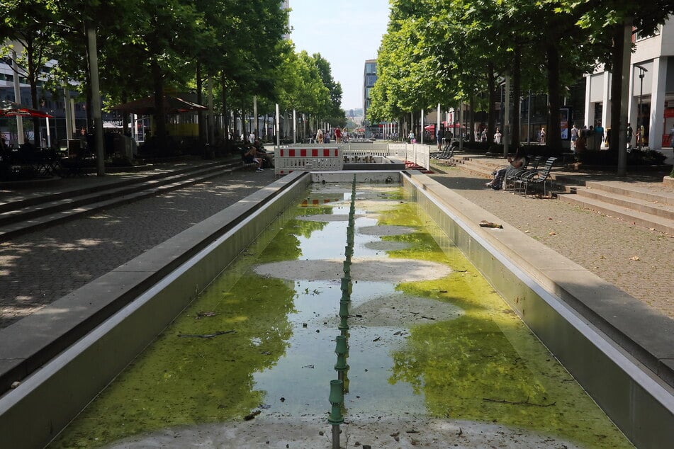 So eklig sieht dieser Brunnen in Dresdens Zentrum jetzt aus.